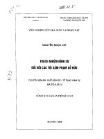 Trách nhiệm hình sự đối với các tội xâm phạm sở hữu 