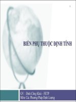 Bài giảng biến phụ thuộc định tính   đinh công khải