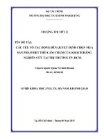 Các yếu tố ảnh hưởng tới quyết định chọn mua sản phẩm dệt thổ cẩm  chăm của khách hàng  nghiên cứu tại thị trường TP HCM