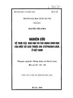 Nghiên cứu về thực vật, hóa học và tác dụng sinh học của một số loài thuộc chi STEPHANIA LOUR ở việt nam 