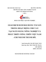 Bài Báo Cáo về Giao Dịch Đảm Bảo Tài Sản trong hoạt động cho vay tại ngân hàng