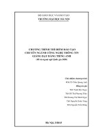 Chương trình thí điểm đào tạo chuyên ngành công nghệ thông tin giảng dạy bằng tiếng anh