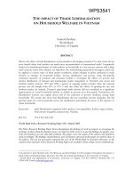 THE IMPACT OF TRADE LIBERALIZATION ON HOUSEHOLD WELFARE IN VIETNAM