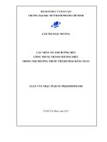 Các nhân tố ảnh hưởng đến lòng trung thành thương hiệu trong thị trường thuốc tránh thai hằng ngày 