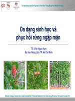 Bài giảng đa dạng sinh học và phục hồi rừng ngập mặn   TS  viên ngọc nam