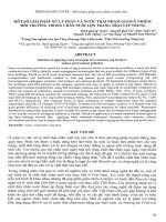 Một số giải pháp xử lý phân và nước thải nhằm giảm ô nhiễm môi trường trong chăn nuôi lợn trang trại tập trung