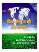 Bài giảng công nghệ sinh học môi trường   chương 5  năng lượng và chất đốt sinh học