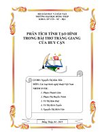 PHÂN TÍCH TÍNH TẠO HÌNH TRONG BÀI THƠ TRÀNG GIANG  CỦA HUY CẬN