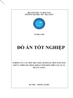 NGHIÊN CỨU CẤU TRÚC ĐỊA CHẤT, ĐÁNH GIÁ TIỀM NĂNG DẦU KHÍ VÀ THIẾT KẾ GIẾNG KHOAN TÌM KIẾM TRÊN CẤU GT1X BỂ CỬU LONG