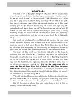 Vai Trò Của Chính Sách Tiền Tệ Trong Việc Điều Tiết Hoạt Động Kinh Tế Vĩ Mô Của Việt Nam Giai Đoạn 1996-2000