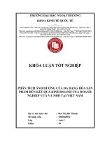 PHÂN TÍCH ẢNH HƯỞNG CỦA ĐA DẠNG HÓA SẢN PHẨM ĐẾN KẾT QUẢ KINH DOANH CỦA DOANH NGHIỆP VỪA VÀ NHỎ TẠI VIỆT NAM