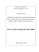 Ảnh hưởng của một số yếu tố kỹ thuật đến năng suất và chất lượng hạt cỏ paspalum atratum cv trồng tại khu vực sông công   thái nguyên 