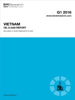 Vietnam oil  gas report   q1 2016