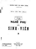 Nghề phụ của sinh viên luận văn