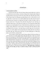 Biện pháp nâng cao hiệu quả sử dụng vốn lưu động tại công ty cổ phần xây dựng và dịch vụ thương mại hải anh 