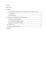 Tiểu luận Sự cần thiết về tính độc lập và tính thận trọng của kiểm toán viên