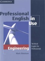 professional english engineering 