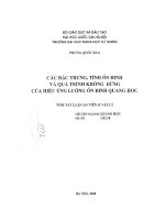luận án tiến sĩ các đặc trưng tính ổn định và quá trình không dừng của hiệu ứng lưỡng ổn định quang học