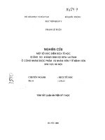 Nghiên cứu sử dụng hợp lý thuốc hóa học để phòng trừ rày xanh và nhện đỏ hại chè vùng trung du bắc bộ 