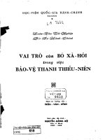 Vai trò của bộ xã hội trong việc bảo vệ thanh thiếu niên 
