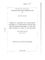 Nghiên cứu ảnh hưởng của CHLOR CHOLIN CHLORID và MULTI EFFECT TRIAZOL đến sinh trưởng phát triển và năng suất một số giống lúa trên các nền phân bón 