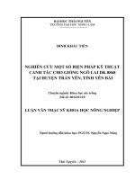 Nghiên cứu một số biện pháp kỹthuật canh tác cho giống ngô lai DK 8868 tại huyện trấn yên, tỉnh yên bái 