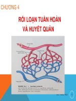 Rối Loạn Tuần Hoàn Và Huyết Quản Chăn Nuôi Thú Y