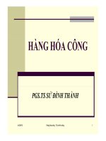 Bài giảng nhập môn tài chính công  chương 3   vai trò của chính phủ trong việc cung cấp hàng hóa công