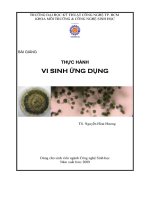 bài giảng thực hành vi sinh ứng dụng