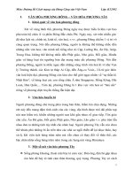 tiểu luận đường lối cách mạng  văn hóa nhân loại