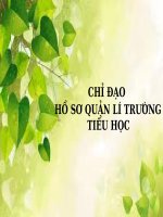 chuyend e ho so quan ly tieu hoc