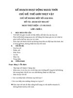 Kế hoạch hoạt động ngoài trời đề tài quan sát hoa sứ