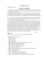 tài liệu ÔN tập văn 6