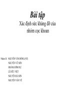 Bài tập Xác định sức kháng đỡ của nhóm cọc khoan