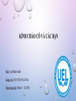 Xử lý vi phạm hành chính trong lao động