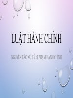 vi phạm hành chính  xử lý vy phạm