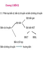 CHUYÊN ĐỀ BIẾN DỊ DI TRUYỀN