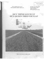 Quy trình sản xuất dứa queen theo vietgap