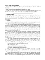 đề cương lý luận nhà nước và pháp luật