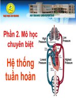 Hệ Tuần Hoàn Chăn Nuôi Thú Y