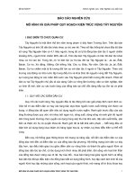 Báo cáo nghiên cứu mô hình và giải pháp quy hoạch kiến trúc vùng tây nguyên