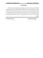 Một số giải pháp thúc đẩy công tác tiêu thụ sản phẩm của Công ty TNHH Phương Hoàng