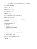 thừa phát lại trong thi hành án dân sự