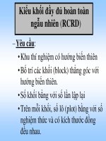 Bài giảng kiểu khối đầy đủ hoàn toàn ngẫu nhiên (RCRD)