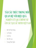Thuyết trình tái cấu trúc trong mối quan hệ với hiệu quả nghiên cứu quá trình tái cơ cấu tại các ngân hàng thương mại việt nam
