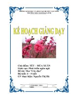 Kế hoạch giảng dạy lĩnh vực phát triển ngôn ngữ thơ cây đào