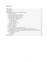 Tiểu luận Diễn đàn hợp tác kinh tế Châu Á – Thái Bình Dương ( APEC )