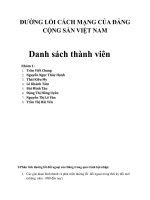 Phân tích đường lối đối ngoại của đảng trong quá trình hội nhập (1)