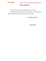 Luận văn cao học một số biện pháp nâng cao hiệu quả quản trị nguồn nhân lực tại công ty cổ phần tư vấn thiết kế viễn thông tin học hải phòng