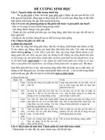 đề cương sinh học kì 2